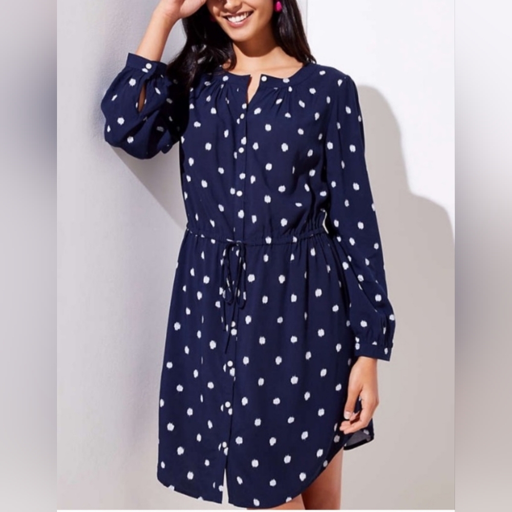 Loft Sz Sm Navy Dot Shirtdress